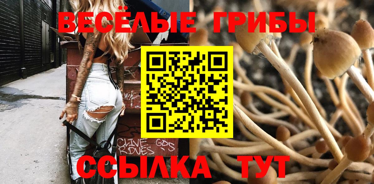 Каменка  Галлюциногенные грибы GOLDEN TEACHER  Вход с VPN 