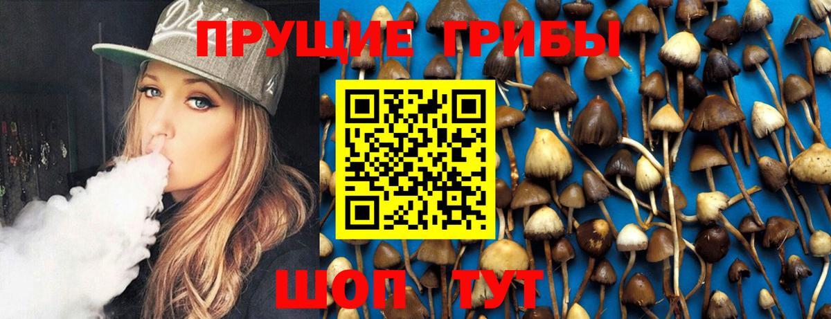 Галлюциногенные грибы мицелий Каменка