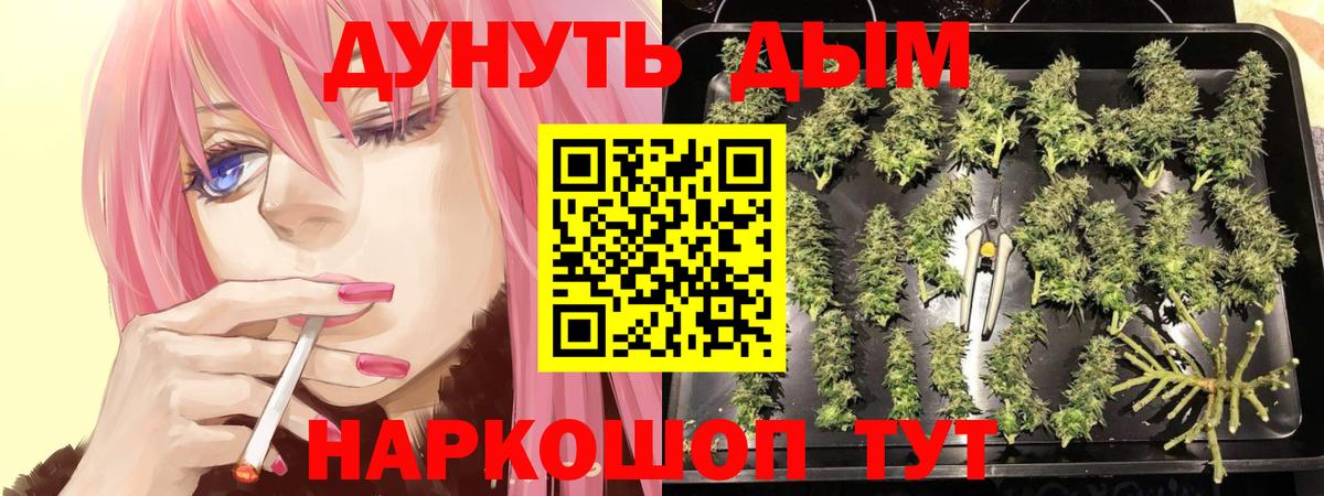 Каннабис Ganja Каменка